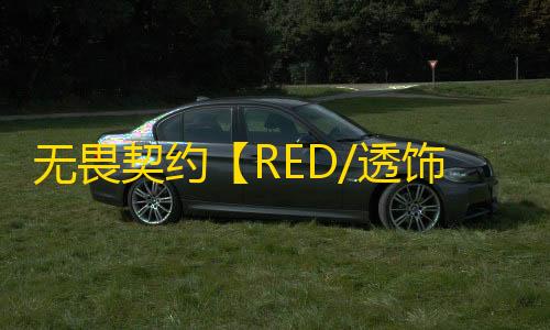 无畏契约【RED/透饰/梓喵/支持国际+国服】辅助